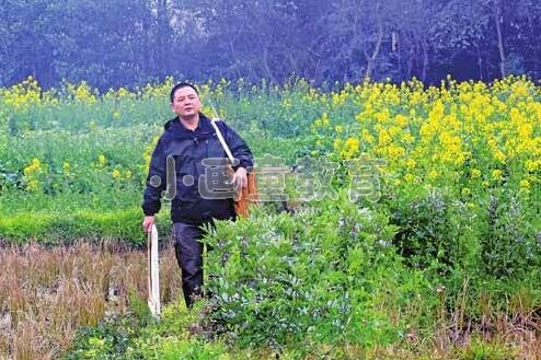 乡村美术教师周礼三十年不离弃＂为爱上色＂