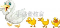 《春天的鸭子》绘画步骤