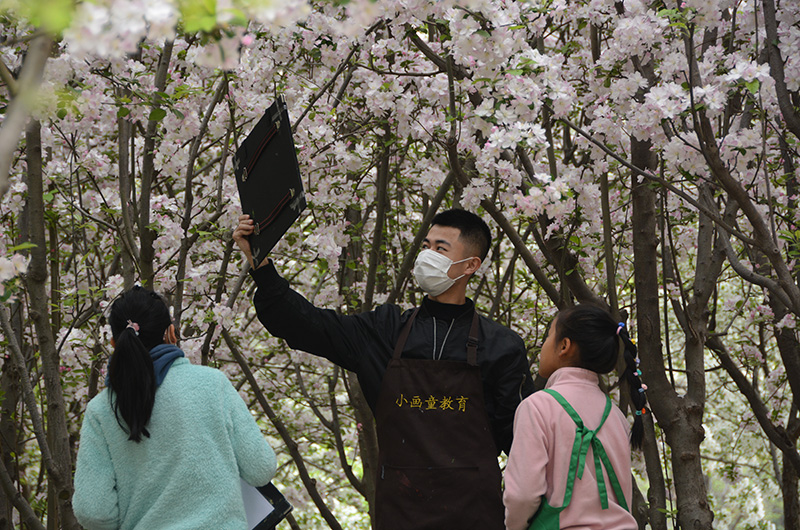 2021年4月小画童海棠花户外实景写生周日